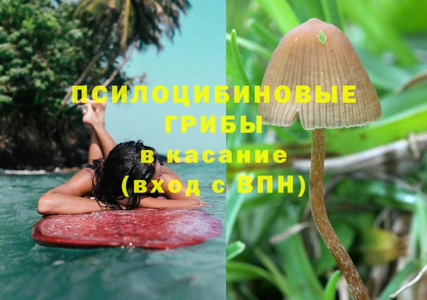 синтетический гашиш Богородск
