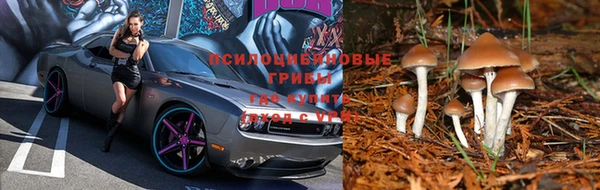 трава Богданович