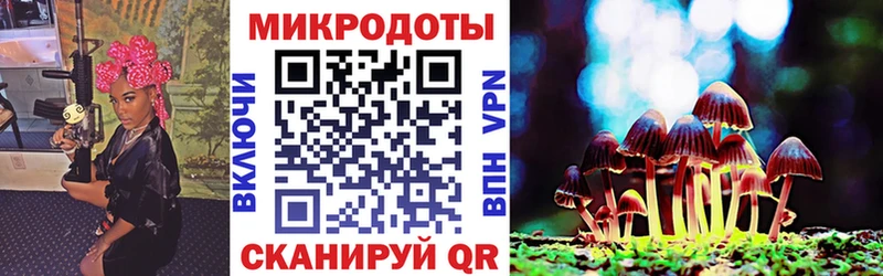 Псилоцибиновые грибы Cubensis  Комсомольск 